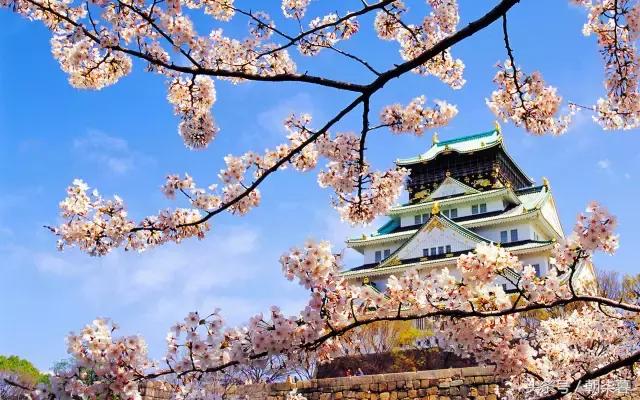 邂逅日本,最强日本旅游攻略!