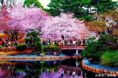 邂逅日本，最强日本旅游攻略！