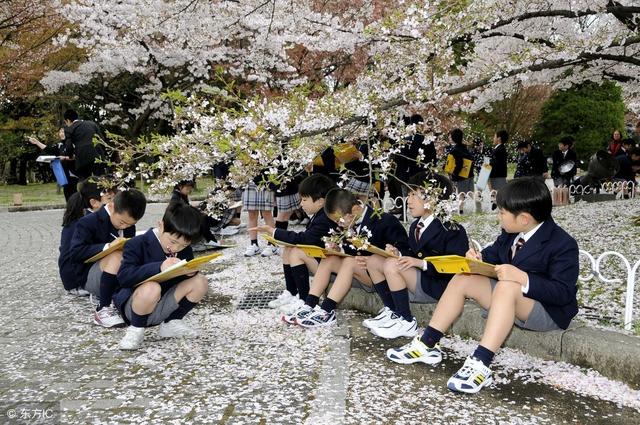 日本美国教育孩子方法很震撼,值得所有中国人学习(建议收藏)