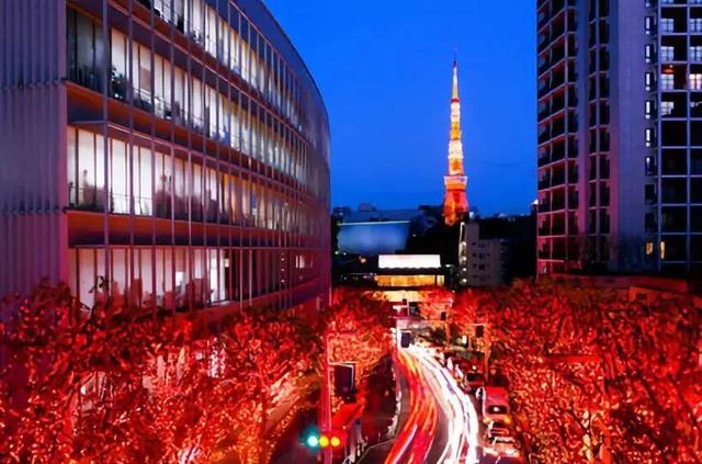 日本圣诞灯光秀大幕已经拉开,赏灯攻略速速奉上!