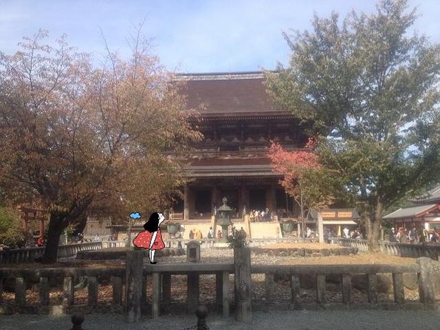 日本,你所不知道的超美景点!趁年轻去远方
