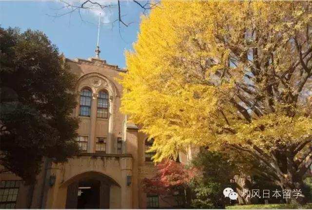 颜值高氛围好,到日本留学就要去这十所学校