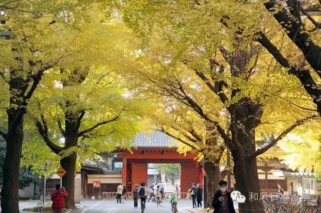 颜值高氛围好,到日本留学就要去这十所学校