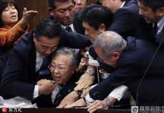 强行通过法案 日本国会参议院一片混乱(高清组图