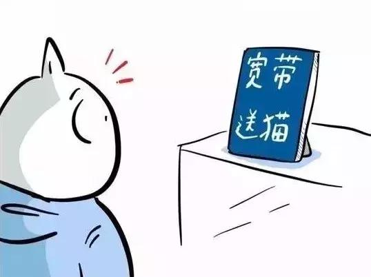 日本小哥眼里的中国人日常,太太太真实了!网友:哈哈哈