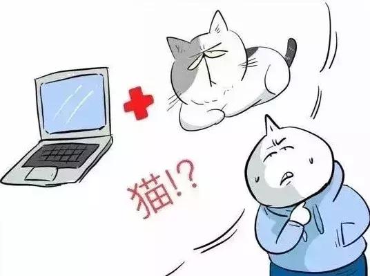 日本小哥眼里的中国人日常,太太太真实了!网友:哈哈哈