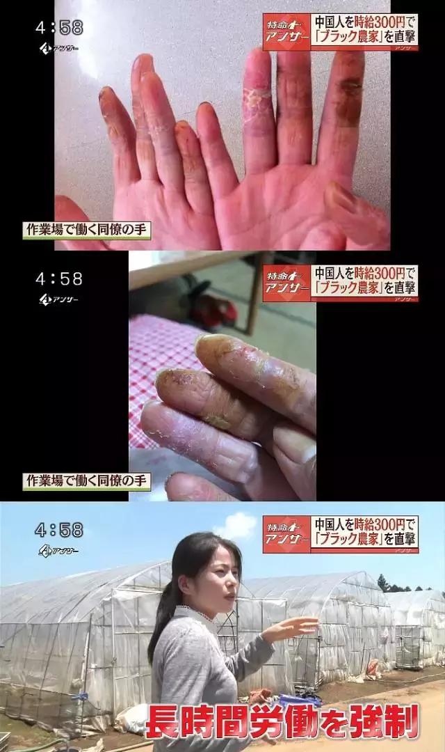 46名中国人在日本失踪:揭秘支撑现代日本经济的“劳奴”制度