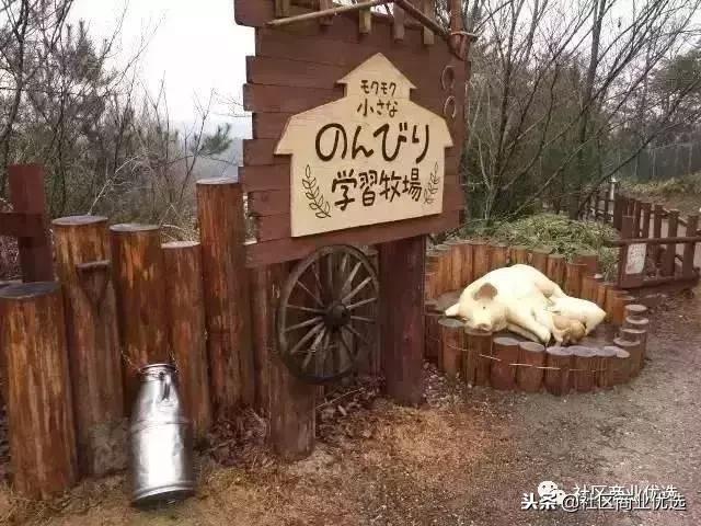 看了日本的Mokumoku农场,都不好意思说在微信上卖菜是新零售了