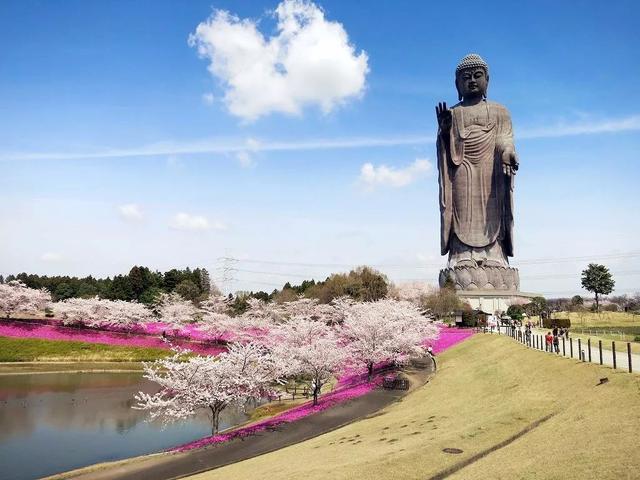 连续6年获“日本最没有魅力地区”称号，这地方也太惨了！