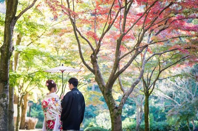 连续6年获“日本最没有魅力地区”称号,这地方也太惨了!