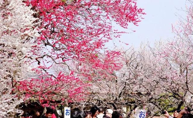 连续6年获“日本最没有魅力地区”称号,这地方也太惨了!