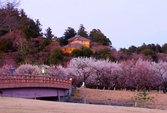 连续6年获“日本最没有魅力地区”称号,这地方也太惨了!
