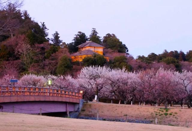 连续6年获“日本最没有魅力地区”称号，这地方也太惨了！