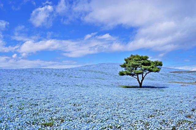 连续6年获“日本最没有魅力地区”称号,这地方也太惨了!