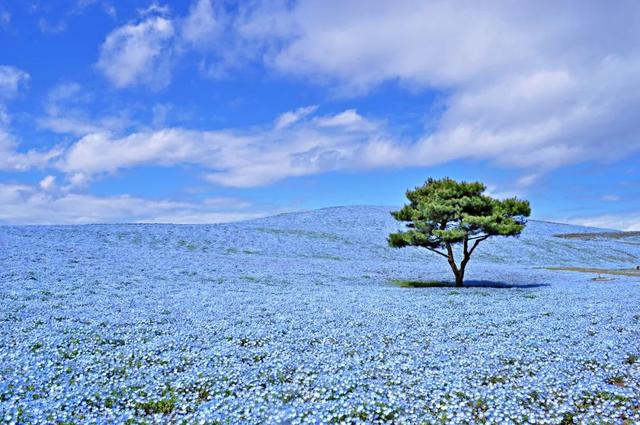 连续6年获“日本最没有魅力地区”称号，这地方也太惨了！