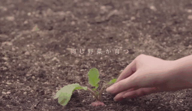 日本人真是会玩!仅用一招就把13亿吨烂蔬果变成了宝贝
