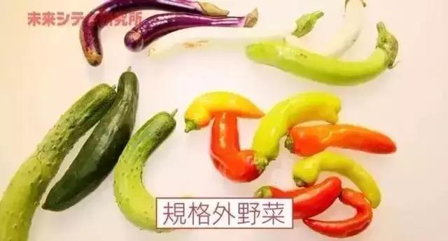 日本人真是会玩!仅用一招就把13亿吨烂蔬果变成了宝贝