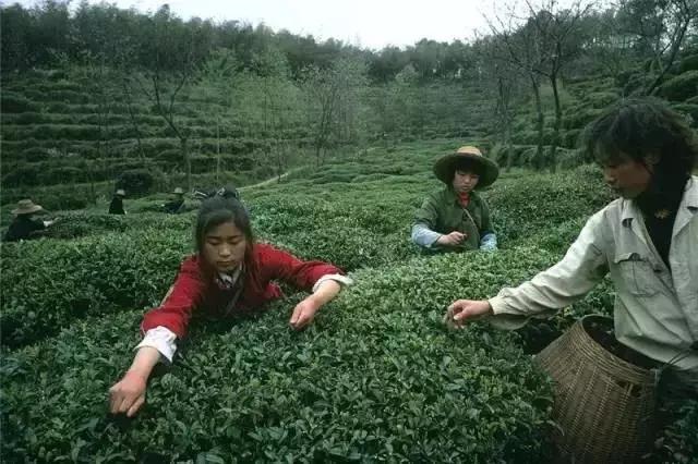 日本摄影师用20万张底片,记录了80年代中国最有情味的瞬间