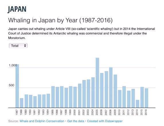 时隔30年,日本宣布恢复商业捕鲸!真是因为日本人爱吃鲸鱼肉?