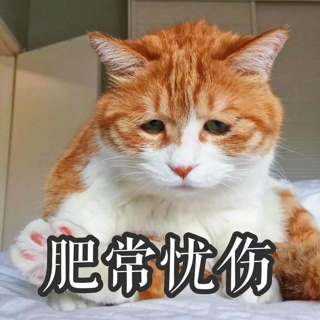 搬迁后的“新筑地市场”,已成功被我拉入黑名单!