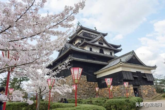 今年1月到5月 来日本看樱花全线攻略!