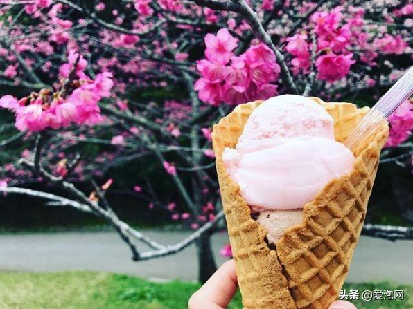 今年1月到5月 来日本看樱花全线攻略!