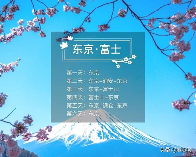 今年1月到5月 来日本看樱花全线攻略!