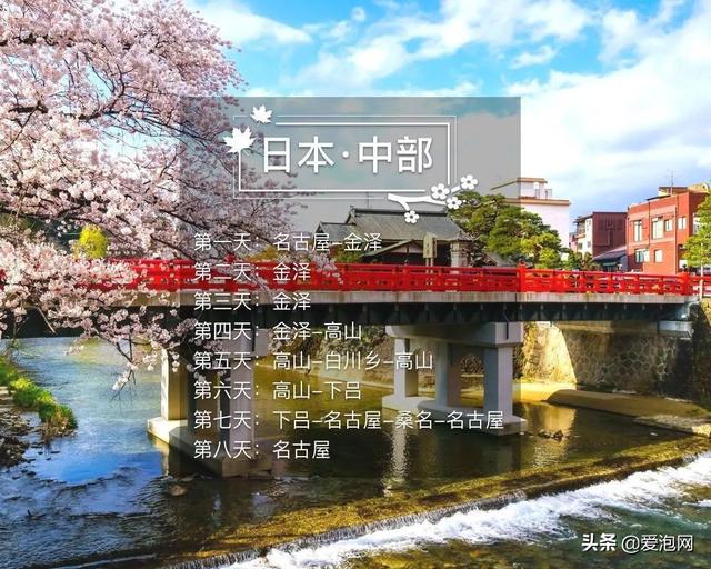 今年1月到5月 来日本看樱花全线攻略!