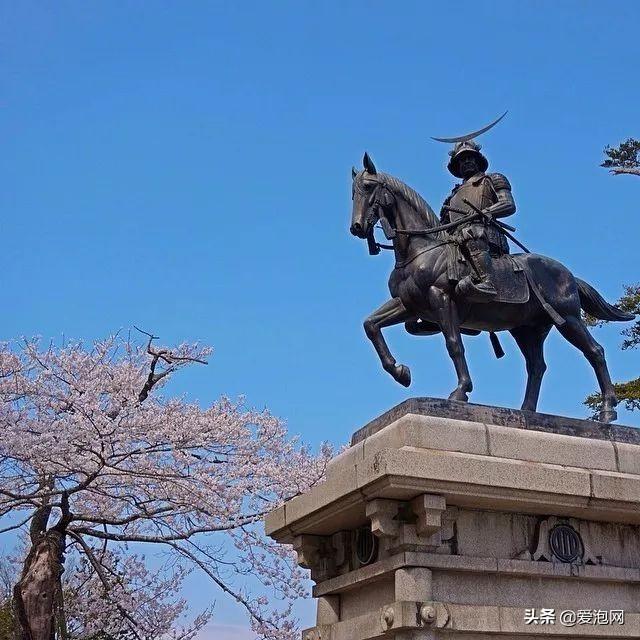 今年1月到5月 来日本看樱花全线攻略!