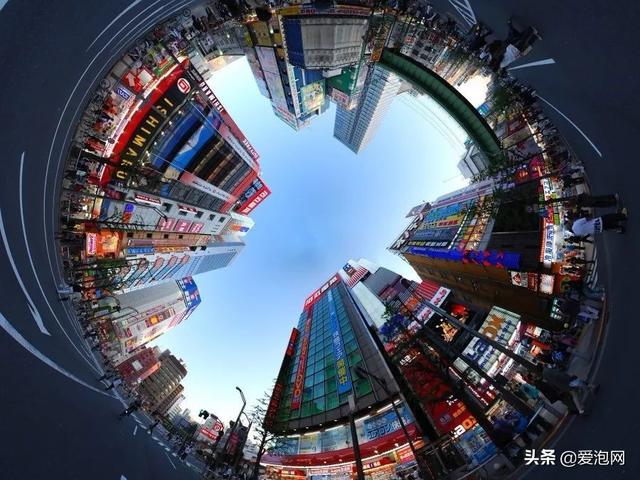 今年1月到5月 来日本看樱花全线攻略!
