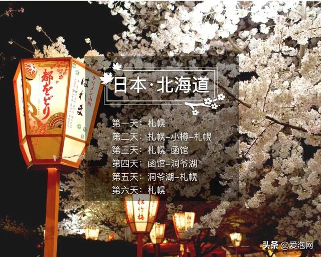 今年1月到5月 来日本看樱花全线攻略!