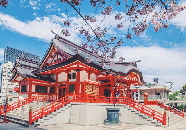 2019日本樱花第一波官方预测新鲜发布,按照它来定行程吧!