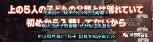 9.5分日本综艺:有了孩子,我们才变成了更好的大人啊!
