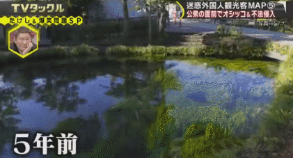 日媒评“2018最不文明游客”中国人喜提第一,网友:实至名归!