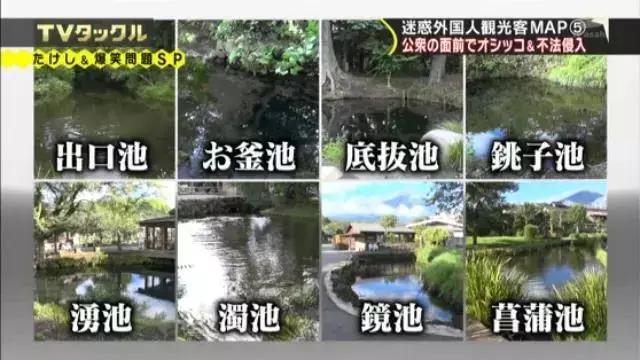 日媒评“2018最不文明游客”中国人喜提第一,网友:实至名归!