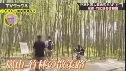 日媒评“2018最不文明游客”中国人喜提第一,网友:实至名归!