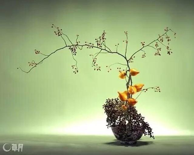 日本花道,是如何把禅意表现得如此唯美的?