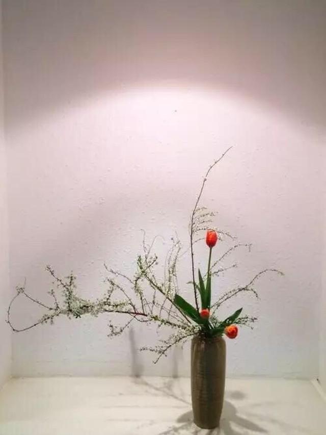 日本花道,是如何把禅意表现得如此唯美的?