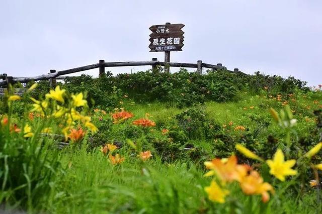日本最美车站打卡地,保证你几乎都没去过!