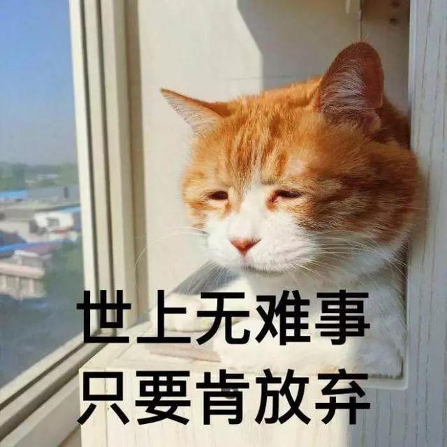 大量日本男生不愿出门,却把小姐姐租到家里来……