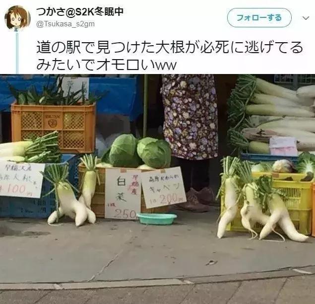 日本人在“朋友圈”里,到底喜欢发些什么?