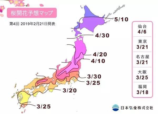 2019日本樱花时间表 | “夜樱”才是最潮的赏樱姿势！