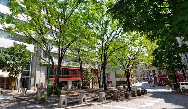 2019年东京人最想买房的地区,前十名魅力度剖析