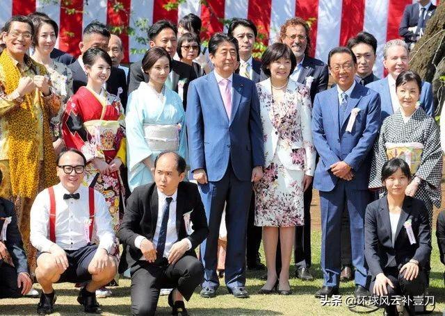 在日本,没有人穿和服赏樱花!