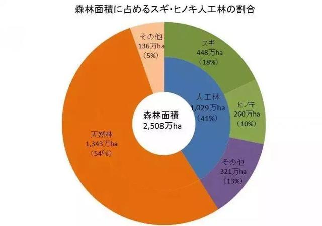 日本70%的民众患有花粉症！花粉症为什么成了日本的“国民病”？