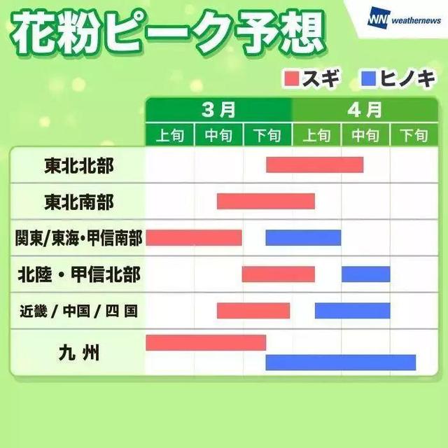 日本70%的民众患有花粉症！花粉症为什么成了日本的“国民病”？