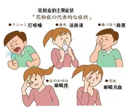 日本70%的民众患有花粉症！花粉症为什么成了日本的“国民病”？