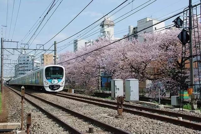 日本最赚钱的10种职业 ,网友:我也想改行