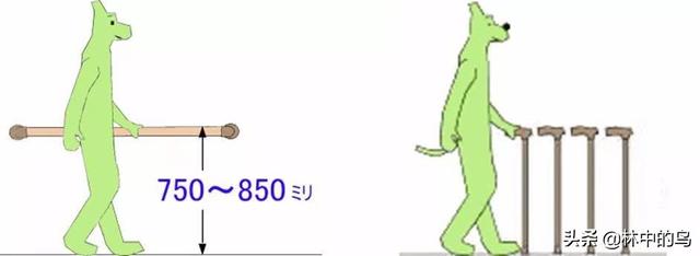 月租18000,入住先拿号码牌,为什么大家排着队去日本养老
