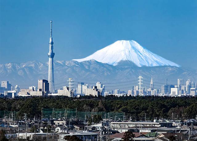 东京铁塔VS东京晴空塔 鲜为人知的冷知识大公开！